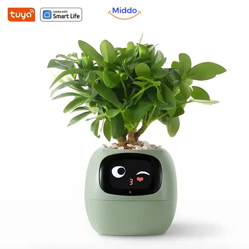 PlantWhiz | Maceta Inteligente con Riego Automático
